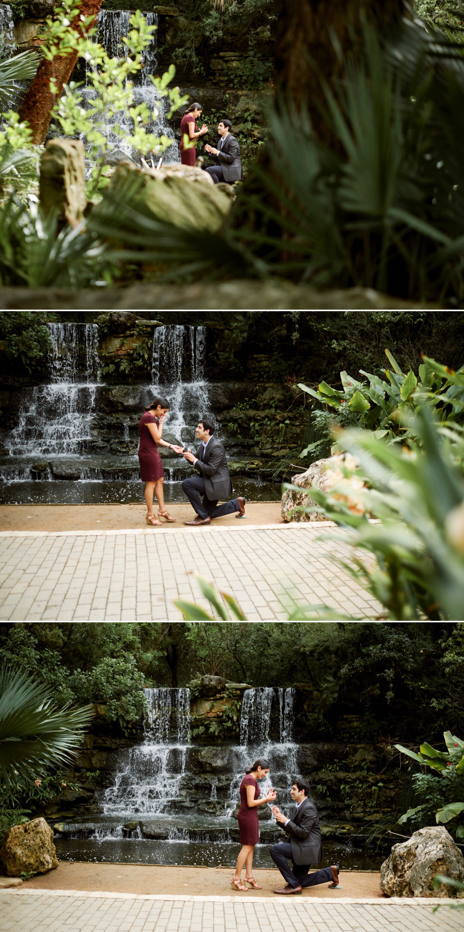 Austin's Zilker Botanical Gardens proposal for Pratik and Katyayani by Austin wedding photographers Mercedes Morgan Photography